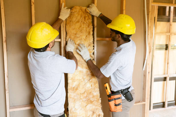 Professional Insulation Removal & Installation in Suamico, WI